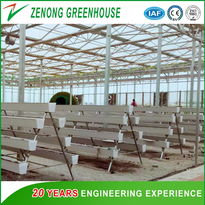 Various Types of Green House Hydroponics Products for Tourism Sightseeing/Gardening/Experiment