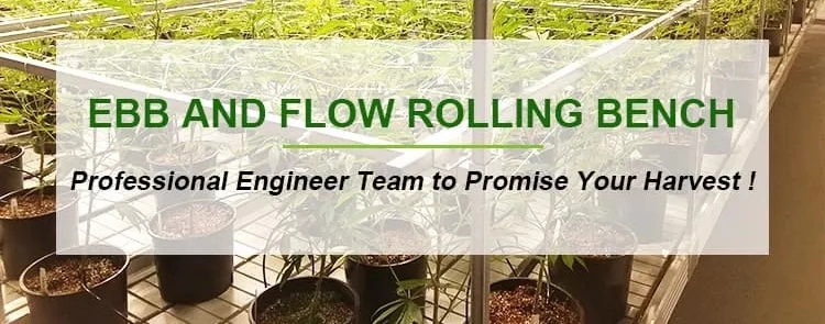 Commercial Rolling Bench Hydroponic Grow Table or Ebb and Flow Table