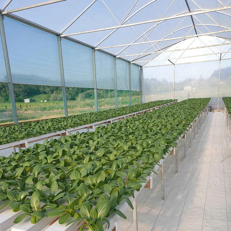Aeroponics Indoor Nft Hydroponic Growing Systems Home Vertical Garden