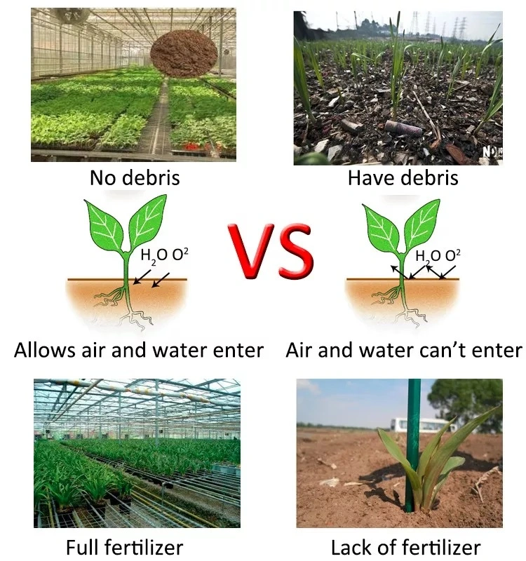 Greenhouse Plant Nursery Equipment Movable Grow Table Seedbed Greenhouse Rolling Benches