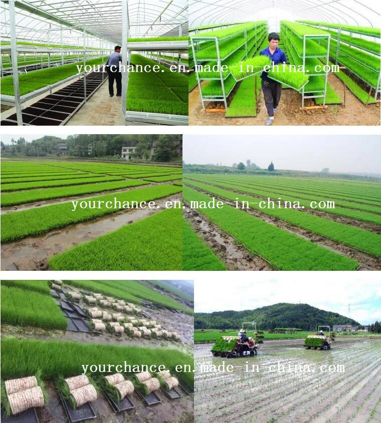 Hot Selling 3 Years Warranty 100% New PP Material Rice Seedling Nursery Propagation Plug Tray