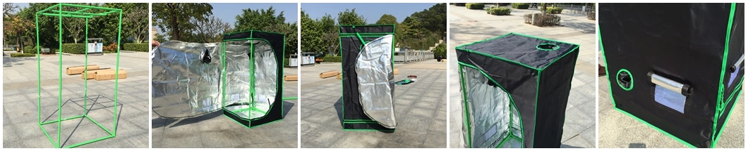 Hydroponic Greenhouse 600d Mylar Plant Grow Tent for Home Garden