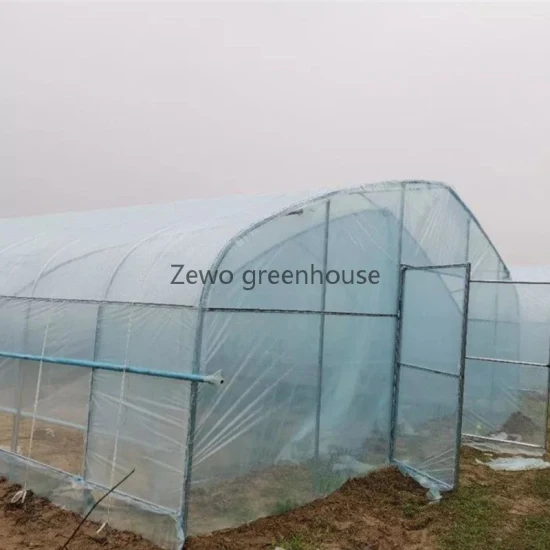 Kostengünstiges landwirtschaftliches Mini-Gartentunnel-Gewächshaus mit PVC-Beschichtung für Lager/Blumen/Fertighaus