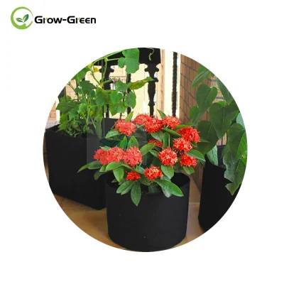 Grow-Green 6er-Pack 5-Gallonen-Pflanzenzuchtbeutel für Kartoffel-/Gemüse-/Vlies-Belüftungstöpfe mit Griffen (schwarz)